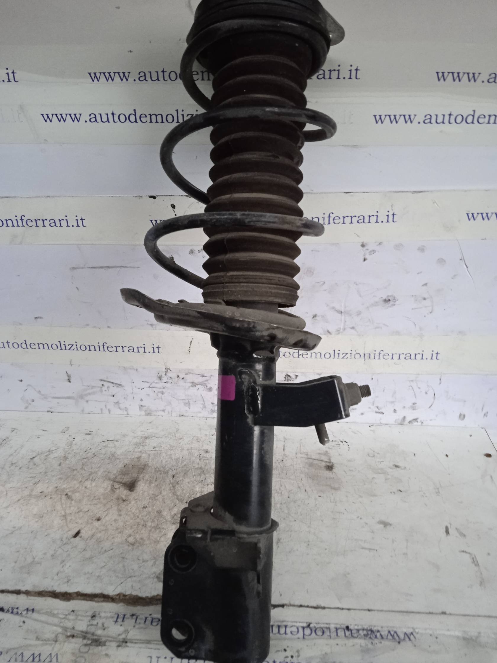 Ammortizzatore ant. sx.